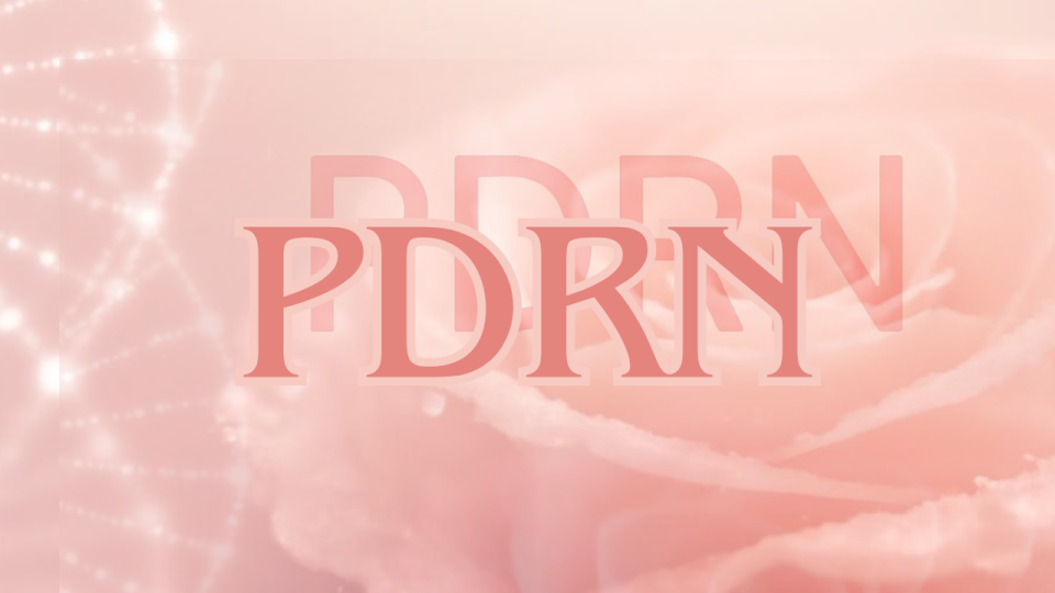 玫瑰Pdrn