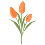 Anigozanthos Flavidus