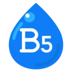 B5